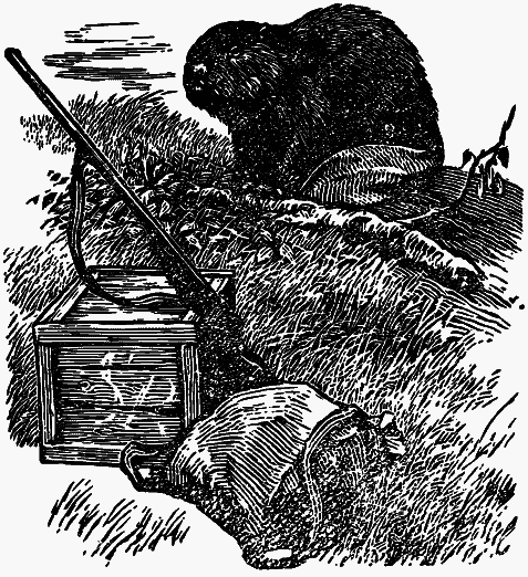 Том 4. Жень-шень. Серая Сова. Неодетая весна - i_003.png