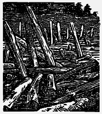 Том 6. Осударева дорога. Корабельная чаща - i_014.png