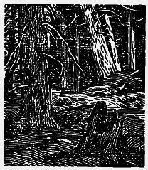 Том 6. Осударева дорога. Корабельная чаща - i_016.png