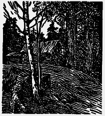 Том 6. Осударева дорога. Корабельная чаща - i_017.png