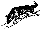 Снежный человек (илл. И. Архипова) - pic_45.png