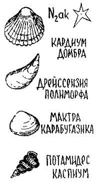 Путешествие по берегам морей, которых никто никогда не видел - i_141.jpg