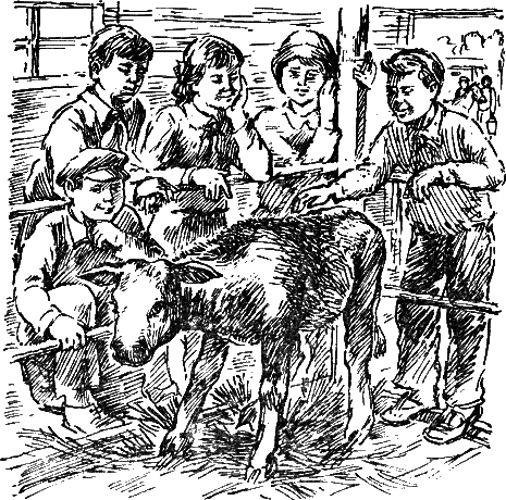 Васек Трубачев и его товарищи (илл. В.А. Красилевского) - i_014.png