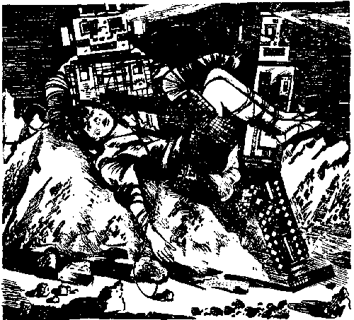 Ржавый фельдмаршал (сборник) - pic_4.png