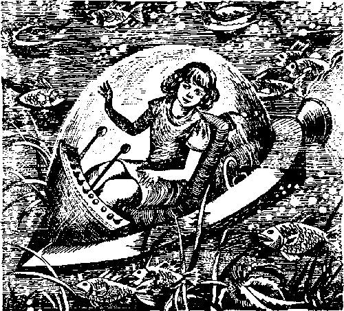 Ржавый фельдмаршал (сборник) - pic_13.png