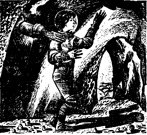 Ржавый фельдмаршал (сборник) - pic_15.png