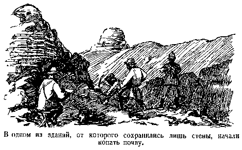 В дебрях Центральной Азии (записки кладоискателя) - pic_22.png