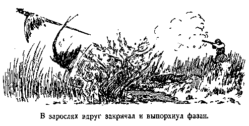 В дебрях Центральной Азии (записки кладоискателя) - pic_31.png