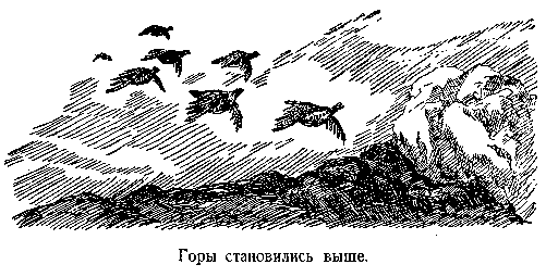 В дебрях Центральной Азии (записки кладоискателя) - pic_36.png