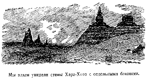 В дебрях Центральной Азии (записки кладоискателя) - pic_38.png