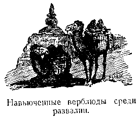 В дебрях Центральной Азии (записки кладоискателя) - pic_39.png