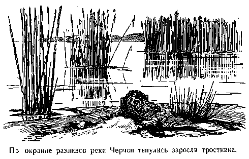 В дебрях Центральной Азии (записки кладоискателя) - pic_47.png