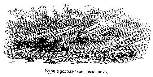 В дебрях Центральной Азии (записки кладоискателя) - pic_49.png