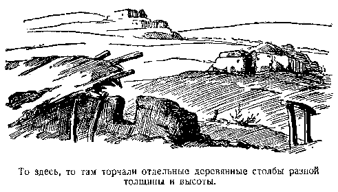 В дебрях Центральной Азии (записки кладоискателя) - pic_51.png
