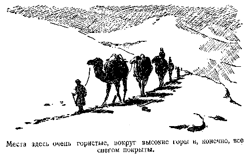 В дебрях Центральной Азии (записки кладоискателя) - pic_56.png