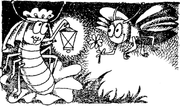 Жизнь лесных дебрей - _24.png