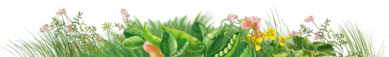 Червячок Чарли - i_007.png