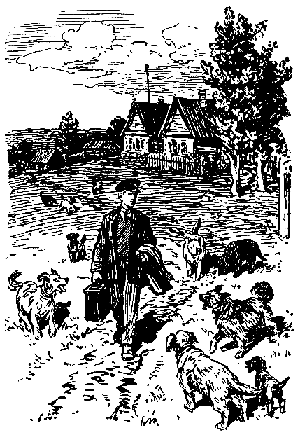 Жизнь и приключения Заморыша (Худ. Б. Винокуров) - pic_48.png