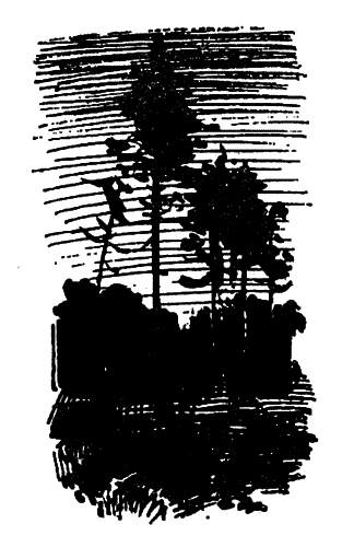 Кортик. Бронзовая птица - bp_1_13_63.png