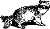 Тук Тукыч - i_036.png
