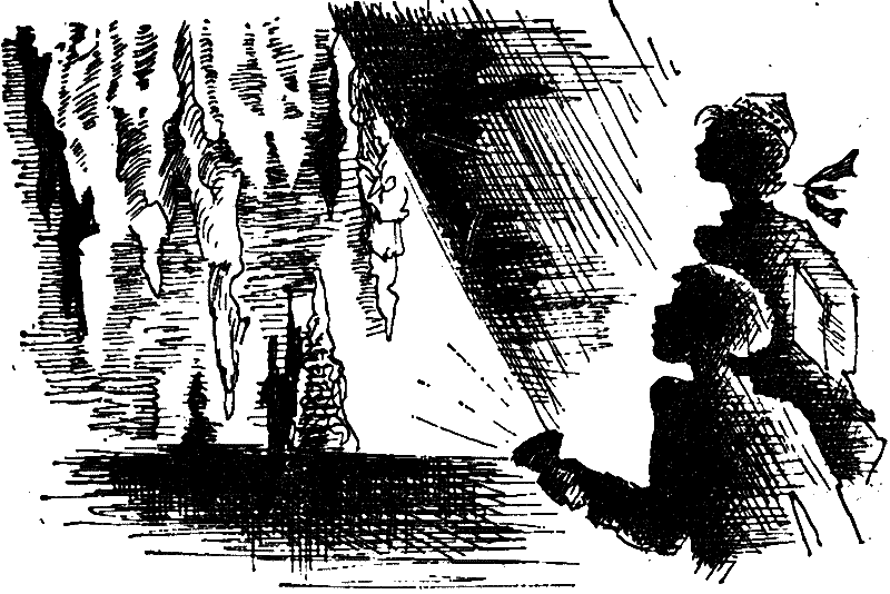 Тайна двухэтажного города - i_006.png