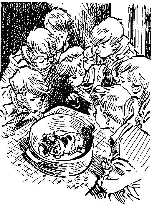 Победитель невозможного (сборник) - pic_36.png