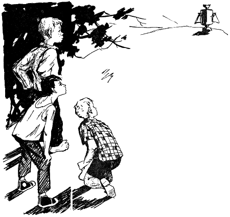 Полосатые чудаки - i_003.png