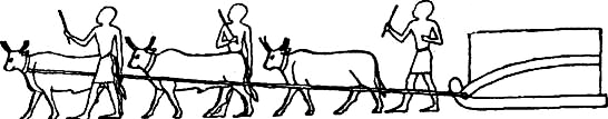 Древний Восток - i_012.png