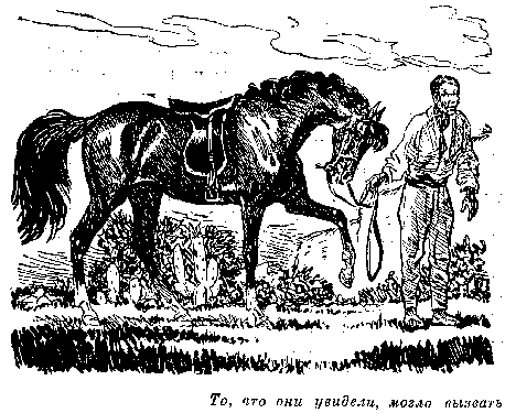 Всадник без головы (худ. Н. Качергин) - pic_13.png