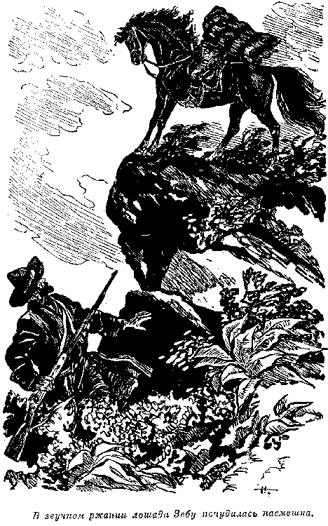 Всадник без головы (худ. Н. Качергин) - pic_19.png