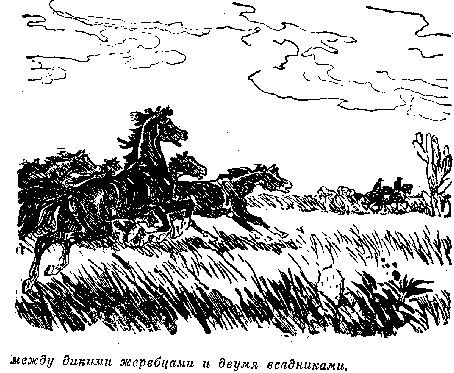 Всадник без головы (худ. Н. Качергин) - pic_9.png