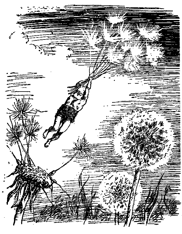 Необыкновенные приключения Карика и Вали (Художник Г. Фитингоф) - pic_11.png