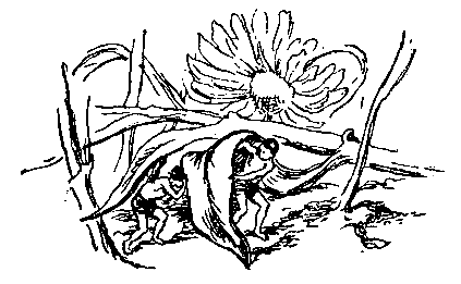Необыкновенные приключения Карика и Вали (Художник Г. Фитингоф) - pic_8.png