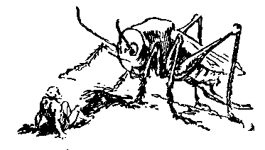 Необыкновенные приключения Карика и Вали (Художник Г. Фитингоф) - pic_9.png