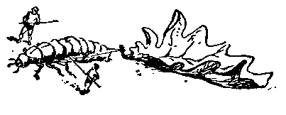 Необыкновенные приключения Карика и Вали (Художник Г. Фитингоф) - pic_23.png