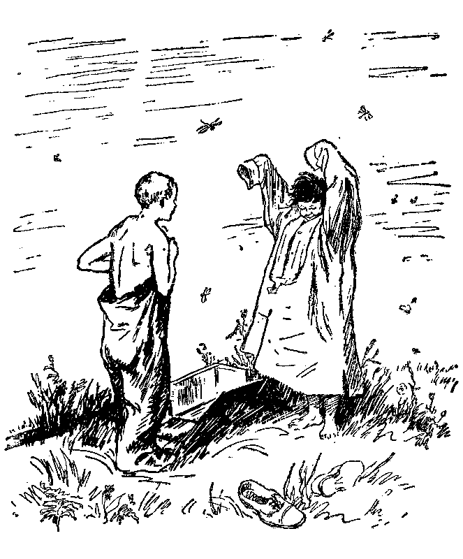 Необыкновенные приключения Карика и Вали (Художник Г. Фитингоф) - pic_27.png
