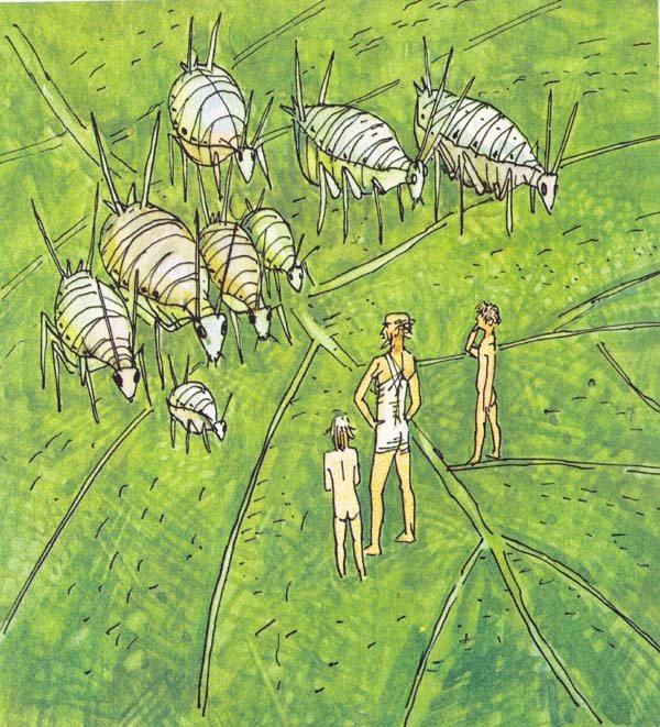 Необыкновенные приключения Карика и Вали (илл. А. Андреева) - pic_12.jpg