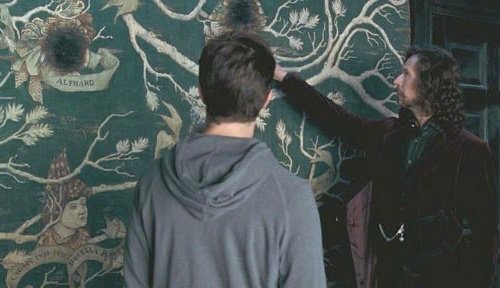 Гарри Поттер и Орден феникса (с илл. из фильма) - i_019.jpg