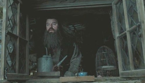 Гарри Поттер и Орден феникса (с илл. из фильма) - i_094.jpg