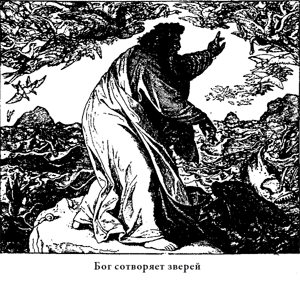 Иллюстрированная Библия для детей - i_003.png