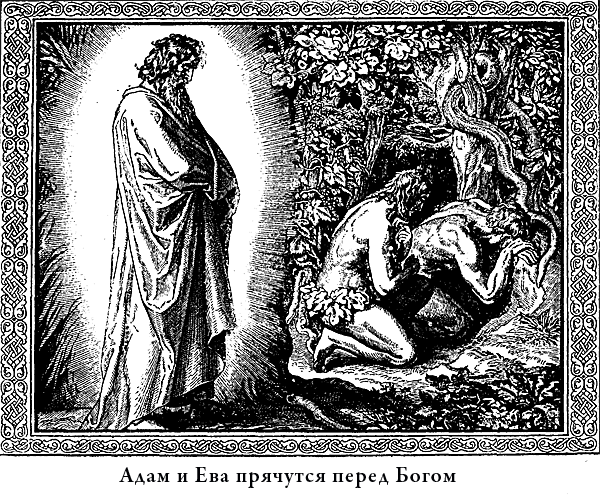 Иллюстрированная Библия для детей - i_005.png
