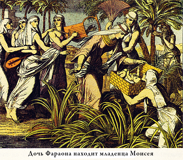 Иллюстрированная Библия для детей - i_019.png