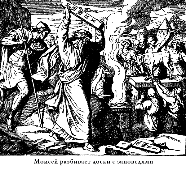 Иллюстрированная Библия для детей - i_022.png