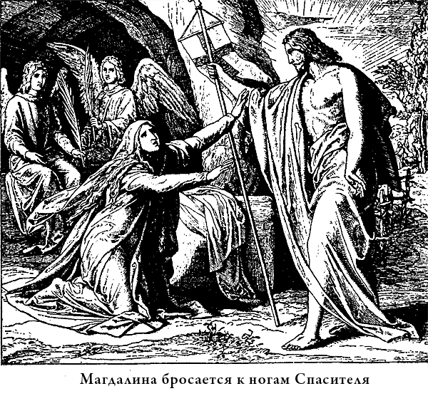 Иллюстрированная Библия для детей - i_062.png