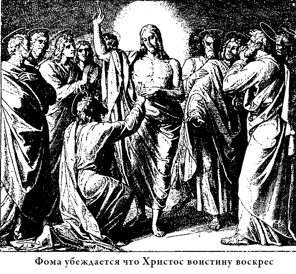 Иллюстрированная Библия для детей - i_063.png
