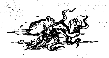 Маракотова бездна (илл. С. Меньшикова) - pic_17.png