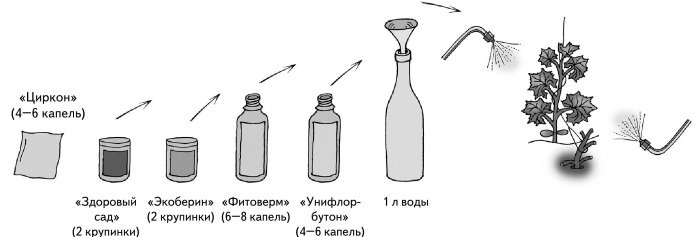 Иллюстрированная энциклопедия огородника для новичков - i_045.jpg