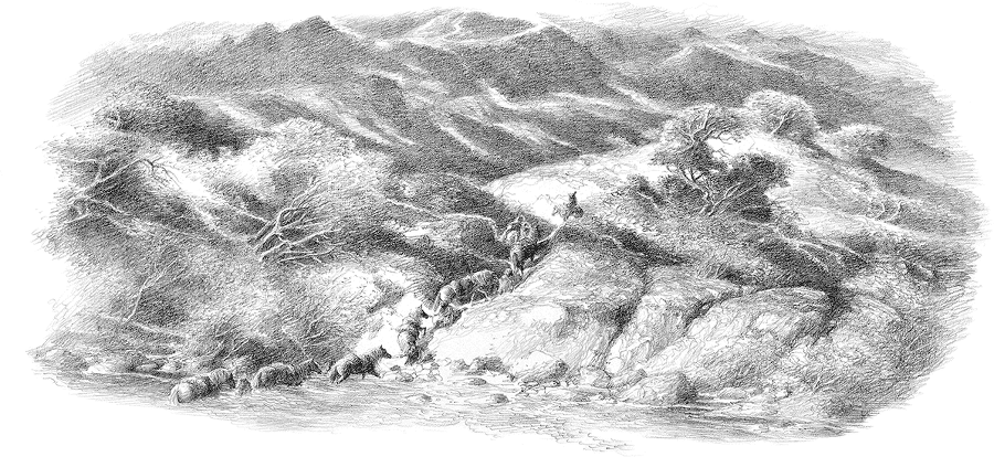 Хоббит (с иллюстрациями) - i_011.png