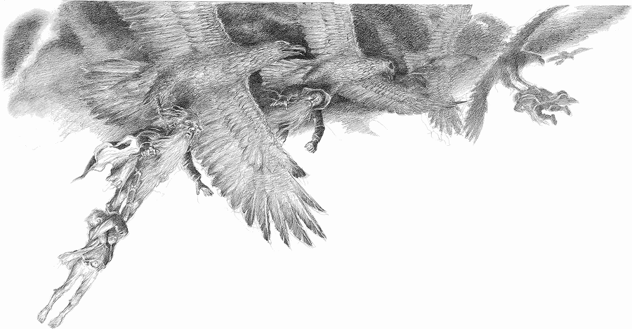 Хоббит (с иллюстрациями) - i_024.png