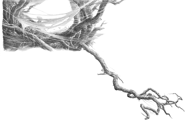 Хоббит (с иллюстрациями) - i_029.png